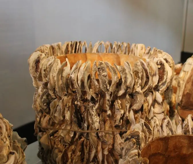 Spectacular Oyster Shell Bowls