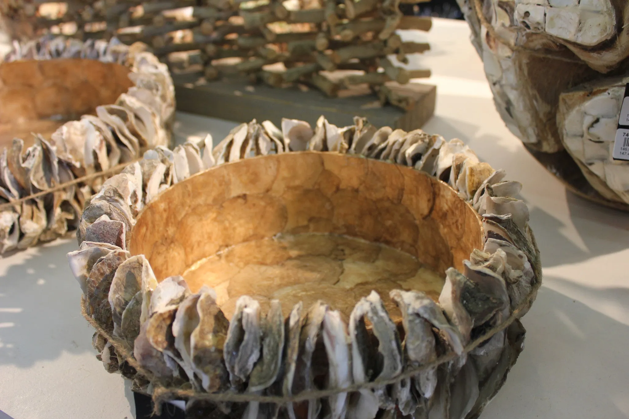 Spectacular Oyster Shell Bowls